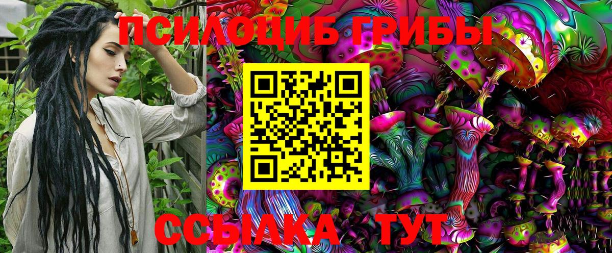 Лысьва  Псилоцибиновые грибы Magic Shrooms  купить наркотик  Вход с VPN 